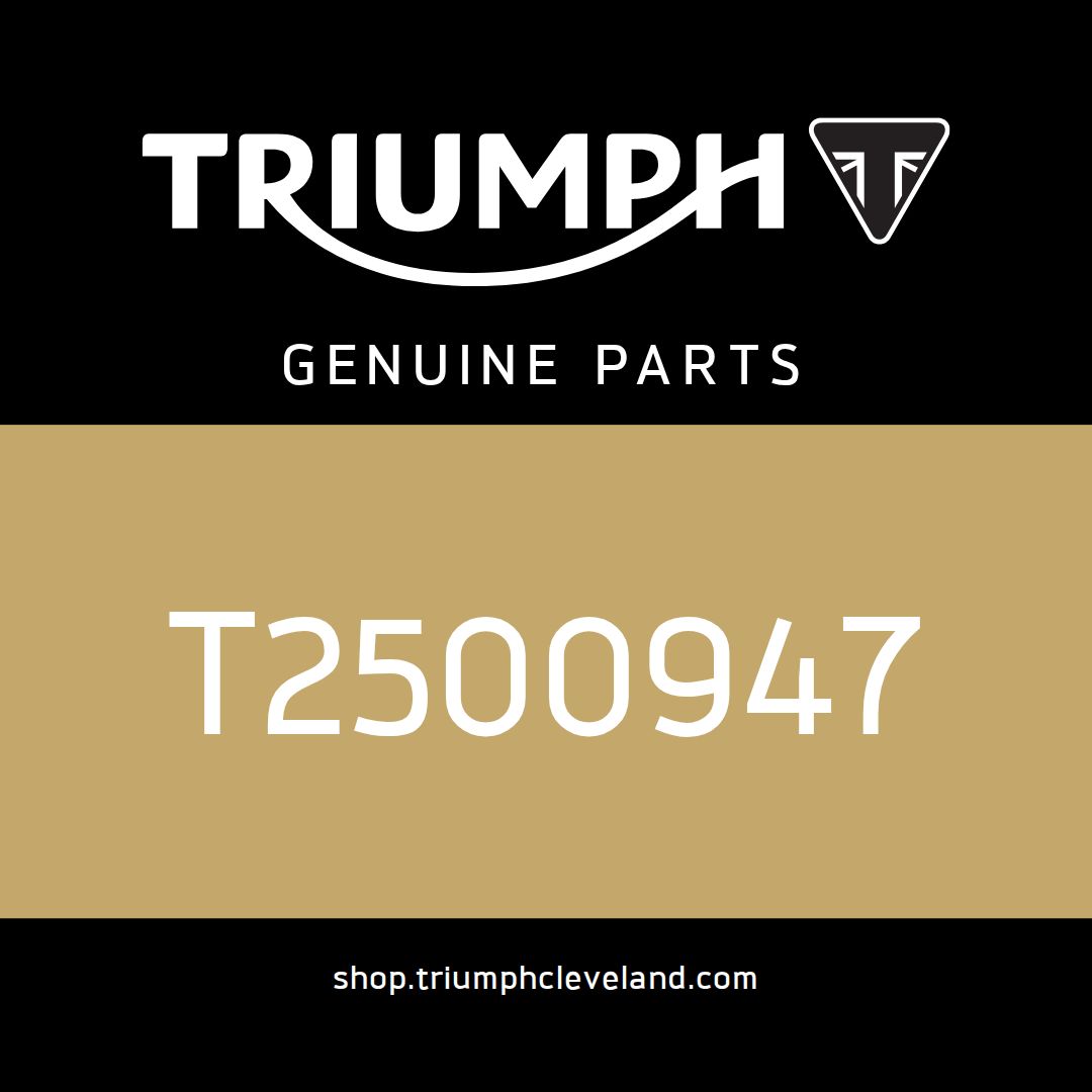 Triumph OEM Lockset - T2500947