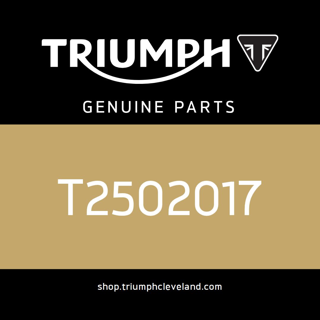 Triumph OEM Instrument Assembly - T2502017