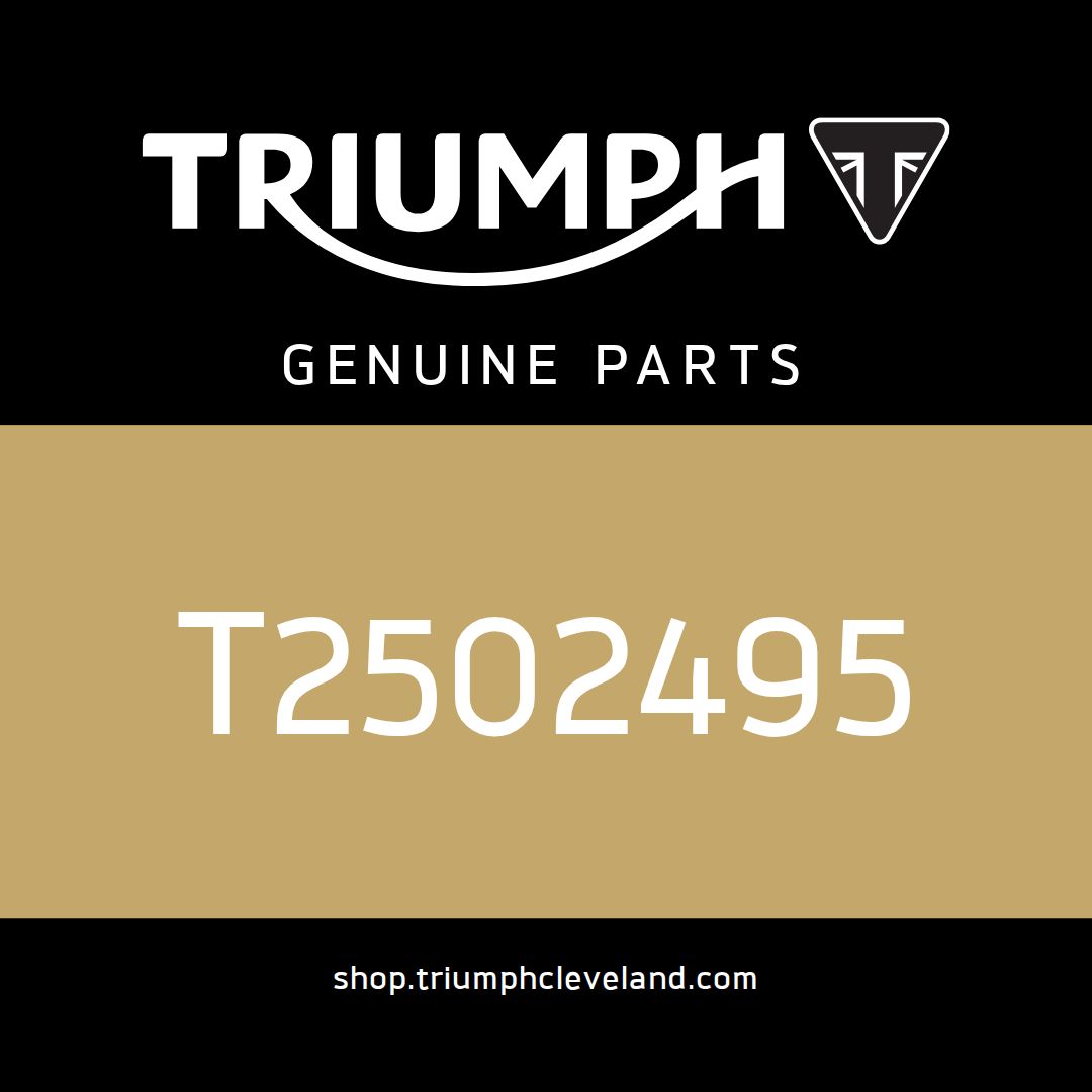 Triumph OEM Main Harness - T2502495