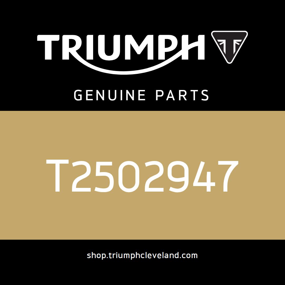 Triumph OEM Instrument Pack, TFT, MPH, US - T2502947