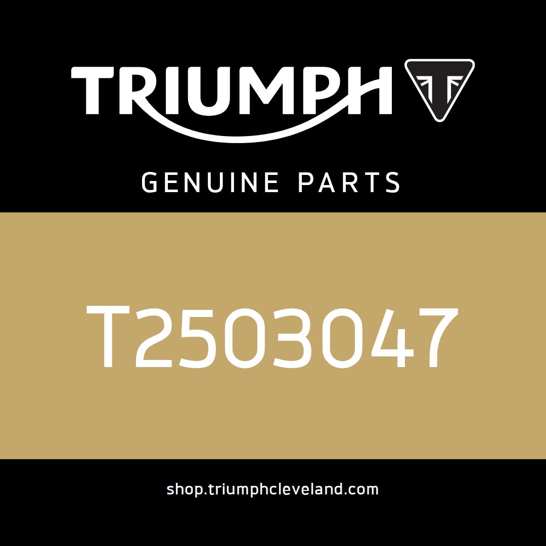 Triumph OEM TT-Module, Instruments - T2503047