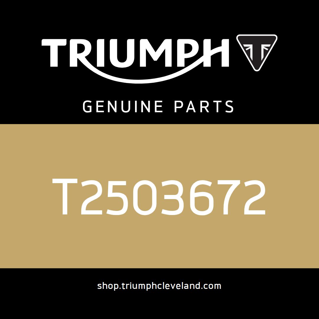 Triumph OEM Instrument Pack - T2503672