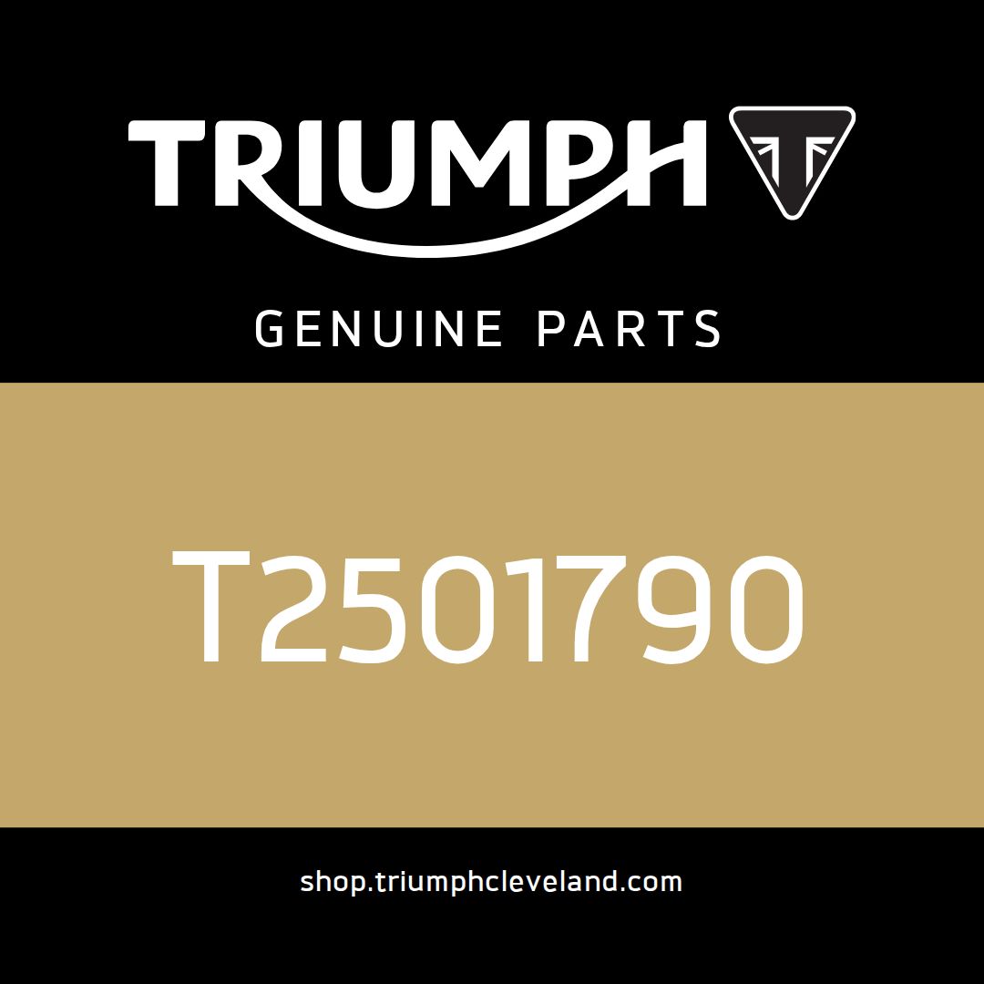 Triumph OEM Harness Retention Moulding - T2501790