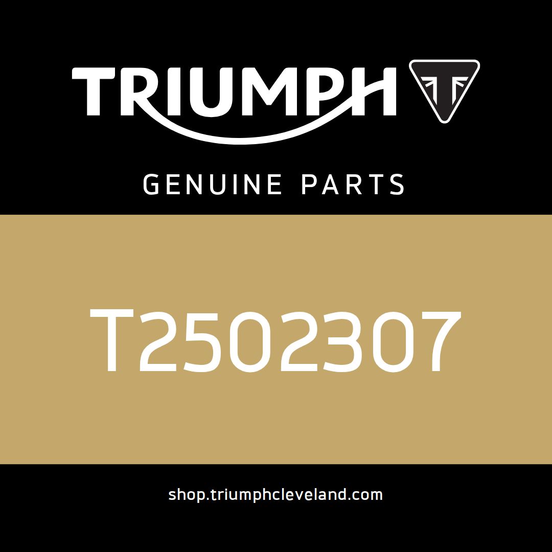 Triumph OEM Cover, Instrument, Rear - T2502307