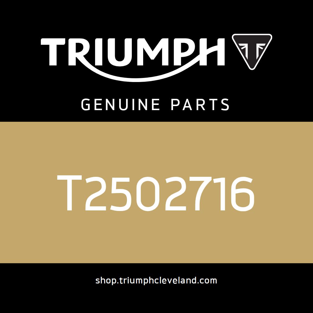 Triumph OEM Main Harness - T2502716
