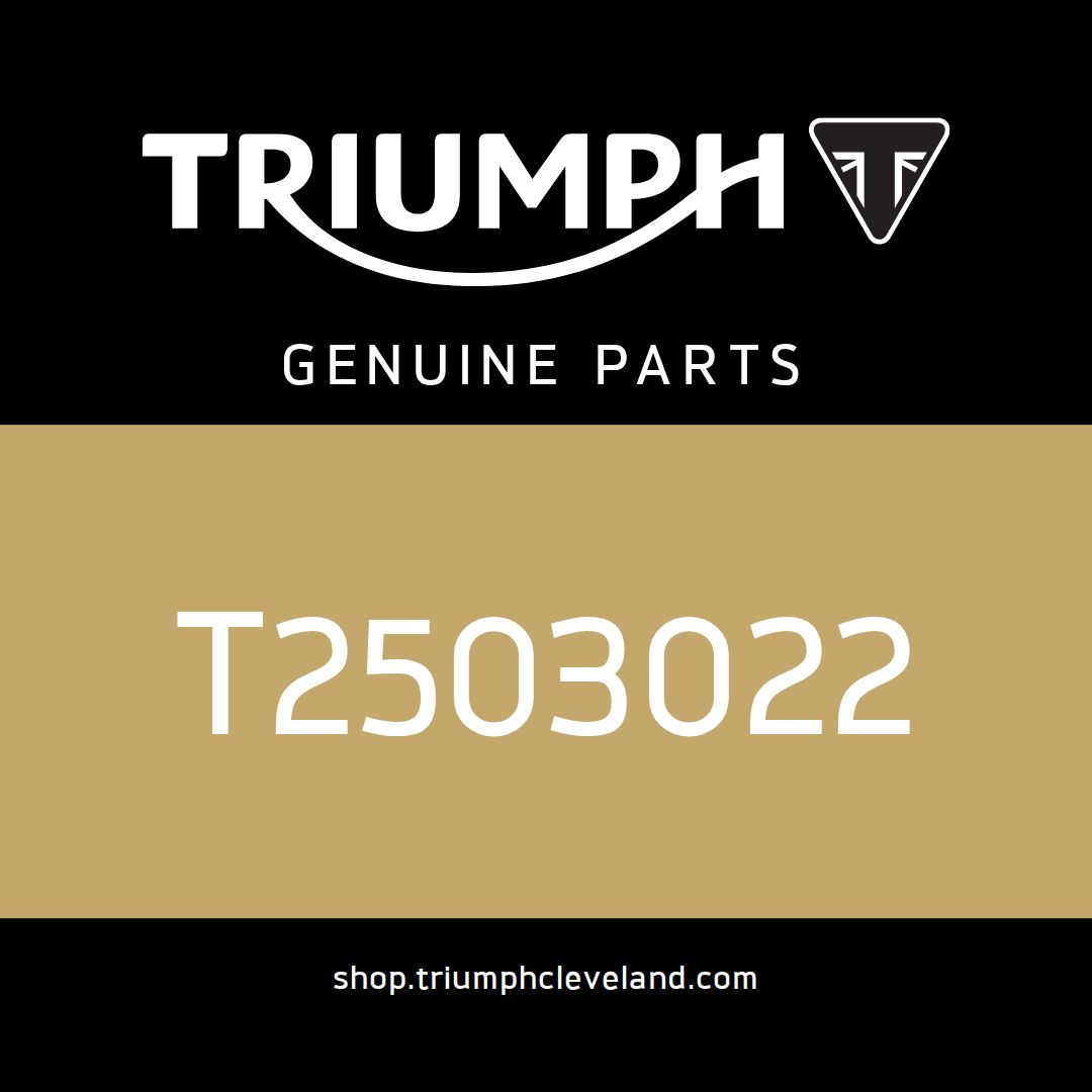 Triumph OEM Bracket, Fixed, Instruments - T2503022