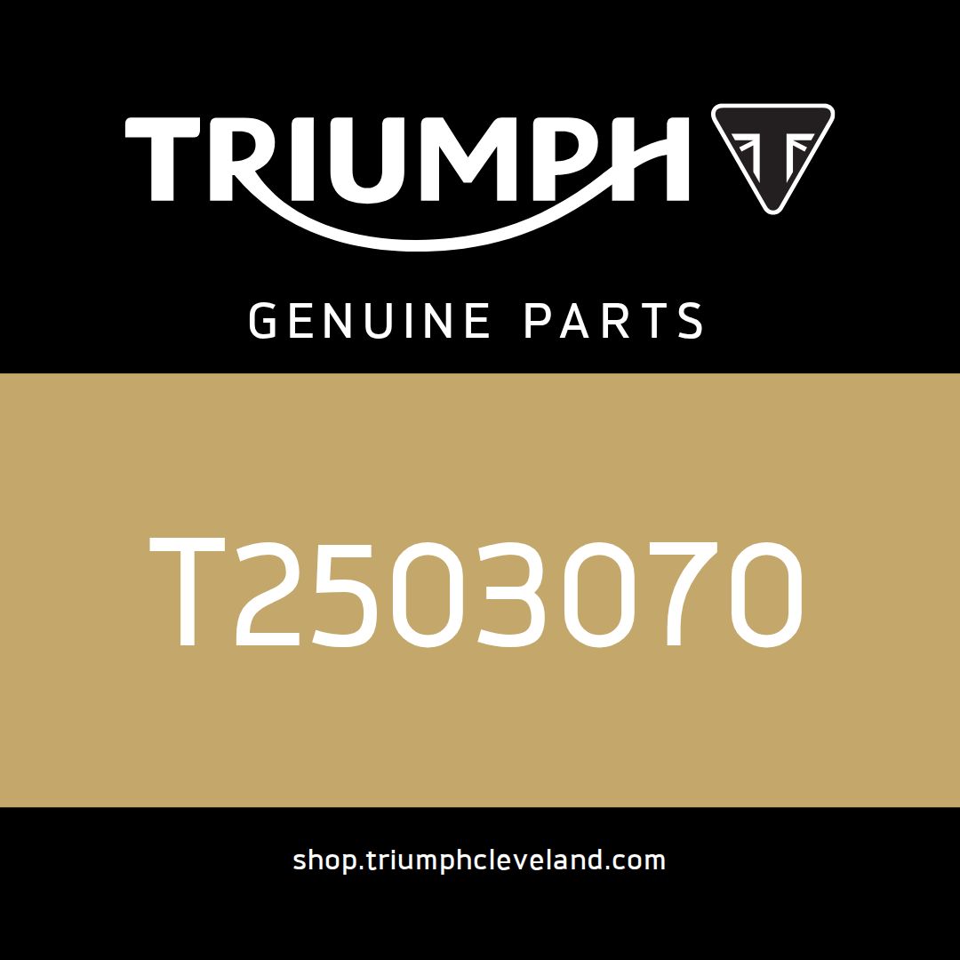 Triumph OEM Strap, ECU, Moulding - T2503070