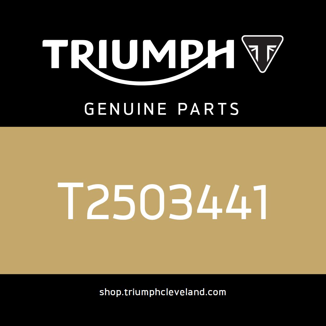 Triumph OEM Lockset, Spares, JP - T2503441