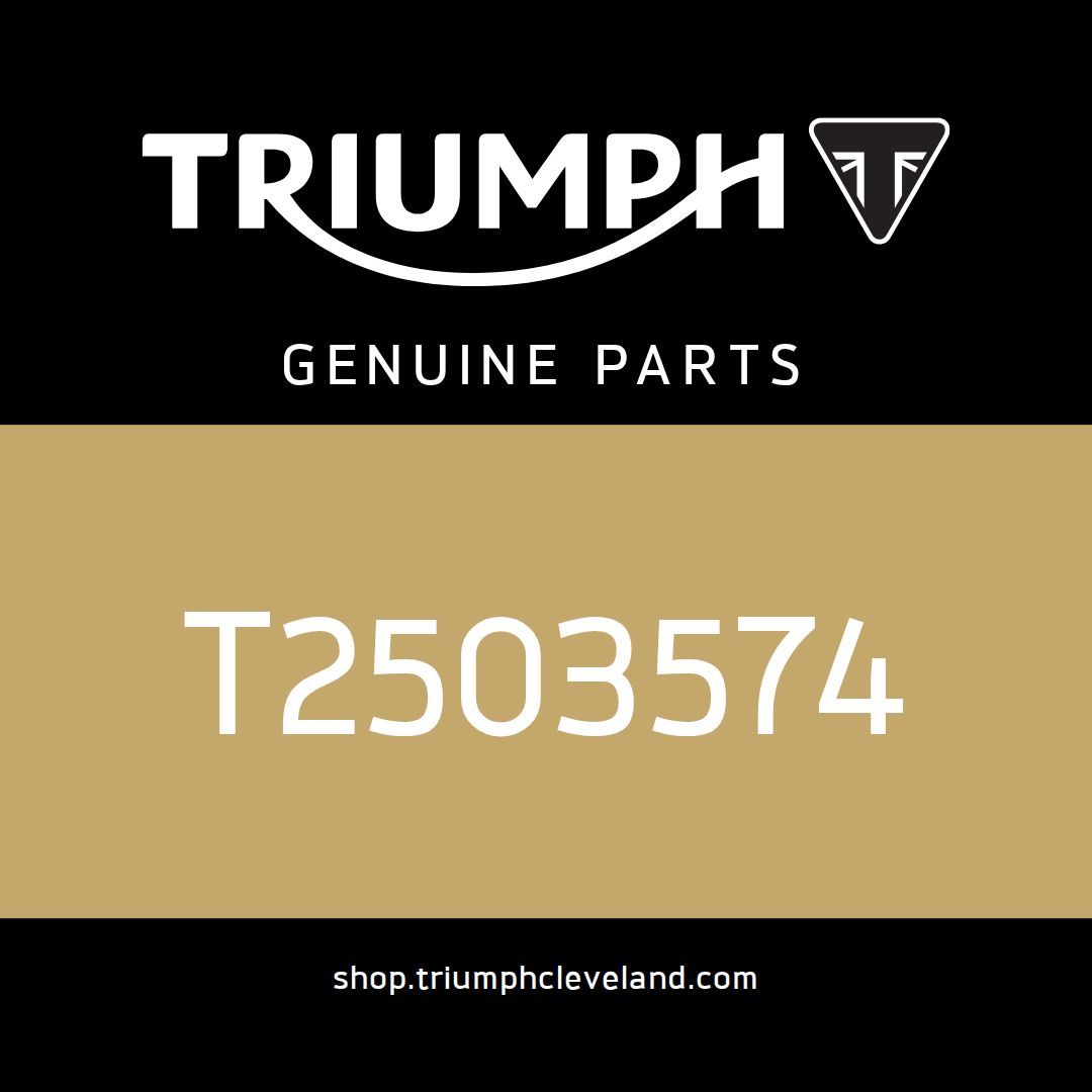 Triumph OEM Earth Lead - T2503574
