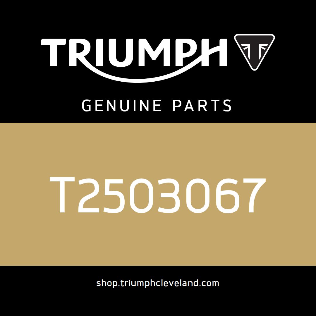 Triumph OEM Bracket, Instruments - T2503067