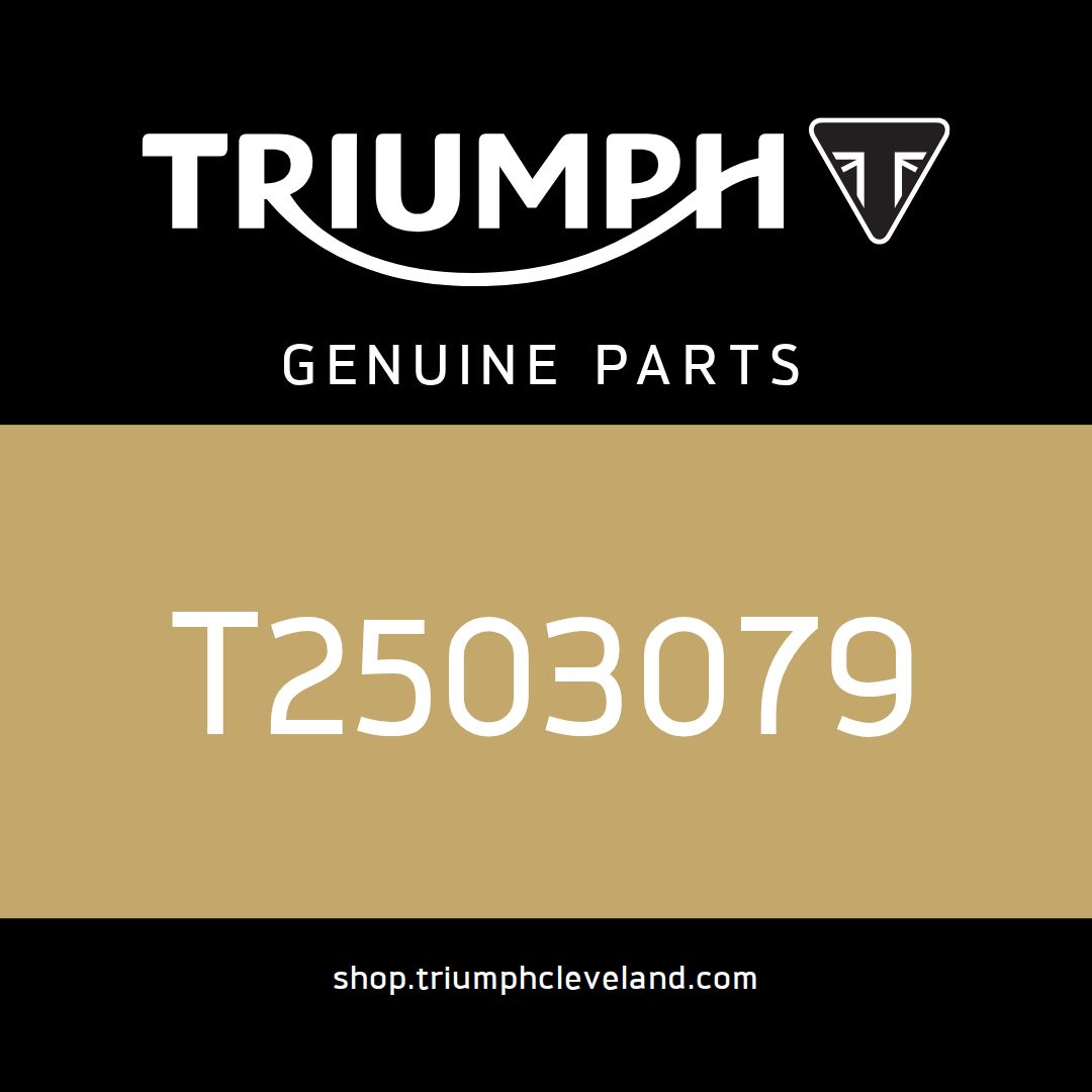 Triumph OEM Instruments, KPH, EU - T2503079