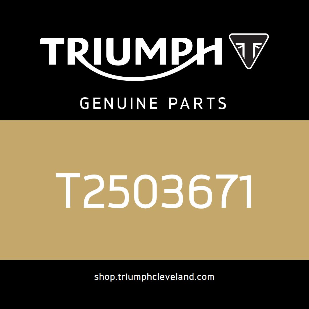 Triumph OEM Instrument Pack - T2503671