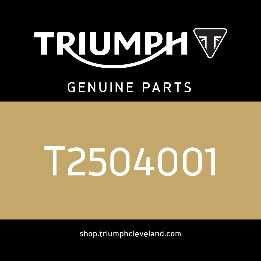 Triumph OEM Harness - T2504001