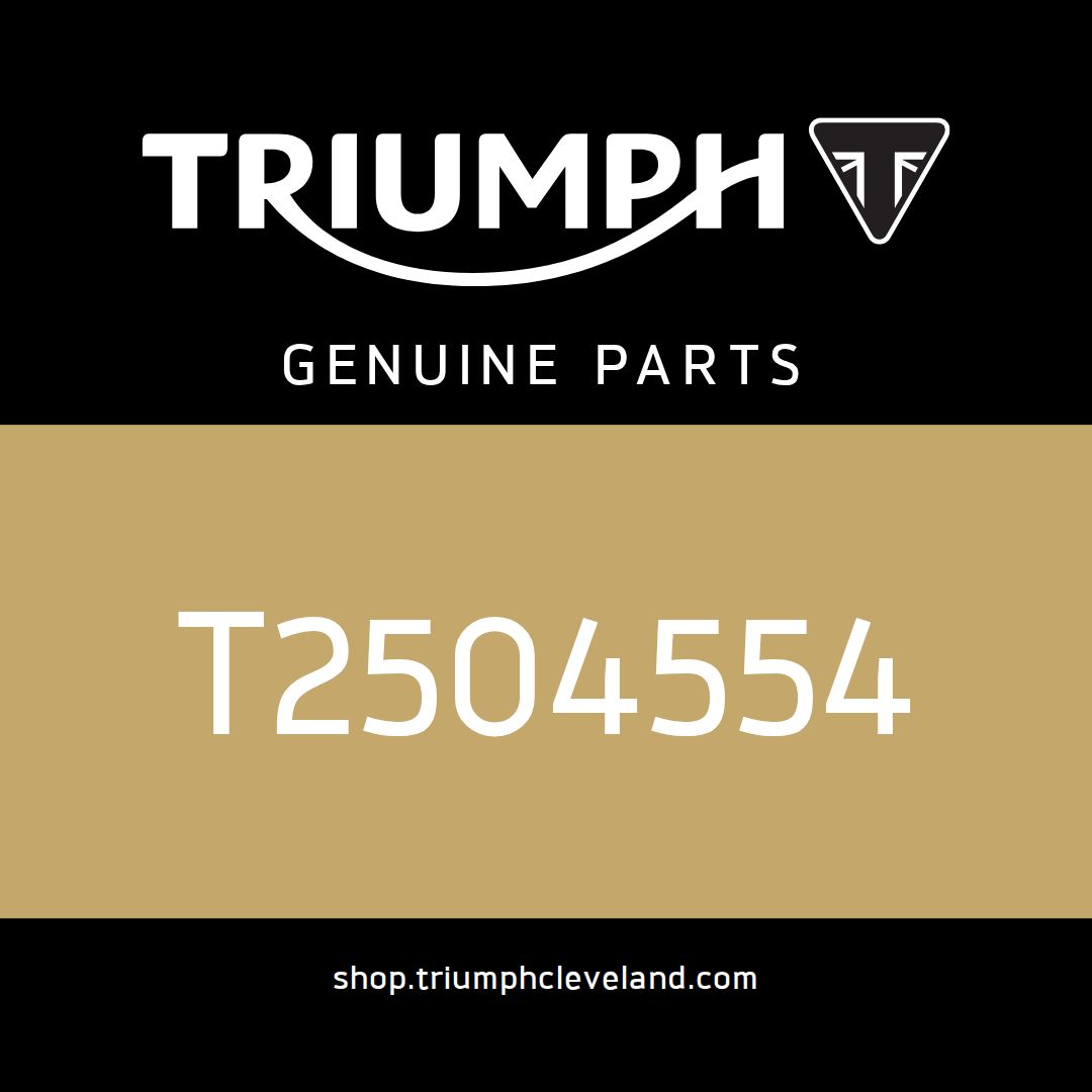 Triumph OEM Seat Lock Assembly - T2504554