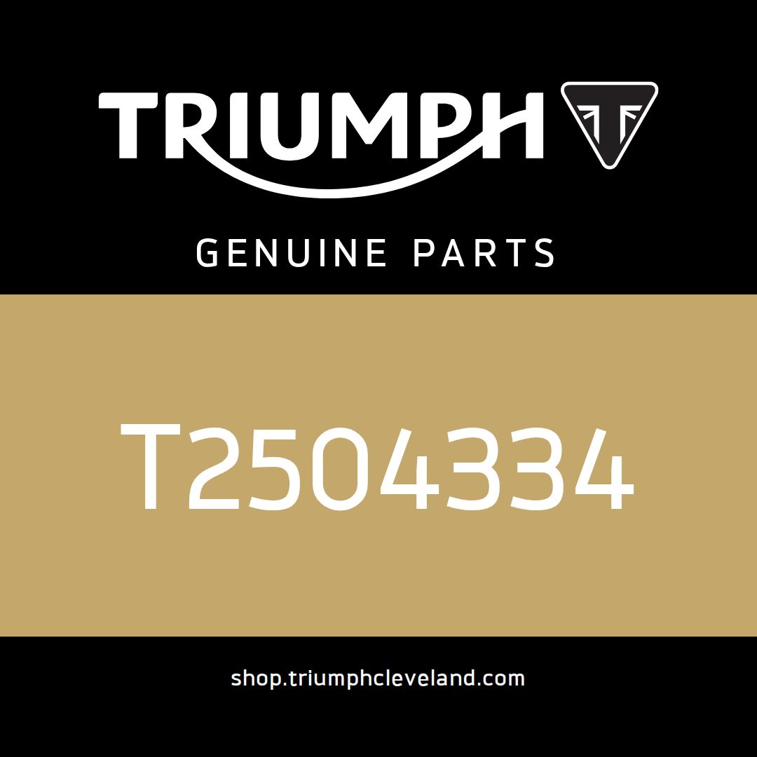 Triumph OEM Instrument Pack, TFT, KMH, JP - T2504334