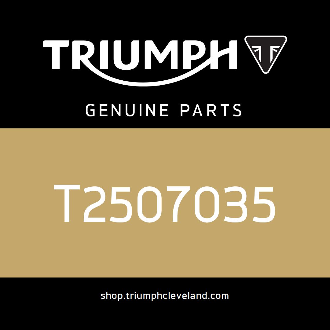 Triumph OEM Instrument Pack, KMH, EU - T2507035