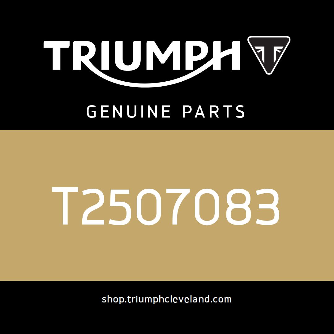 Triumph OEM Battery Lead, Negative - T2507083