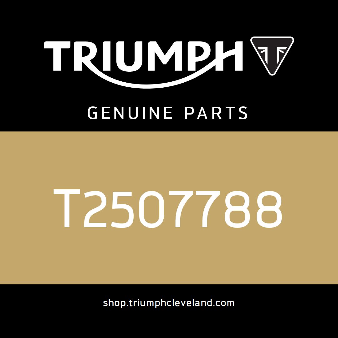 Triumph OEM Lockset Assembly - T2507788