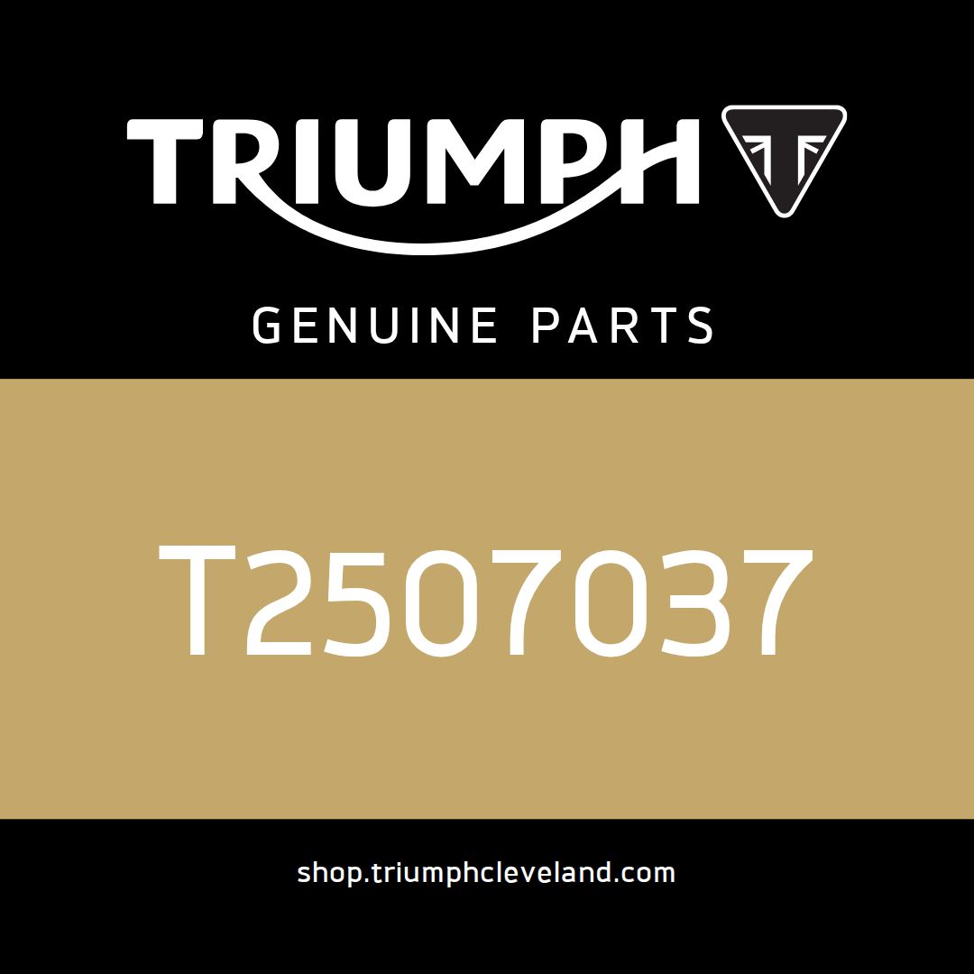Triumph OEM Instrument Pack, KMH, CN - T2507037