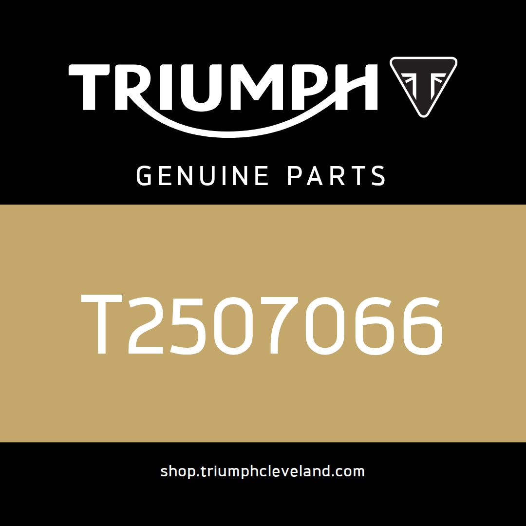 Triumph OEM Battery Lead, Positive - T2507066