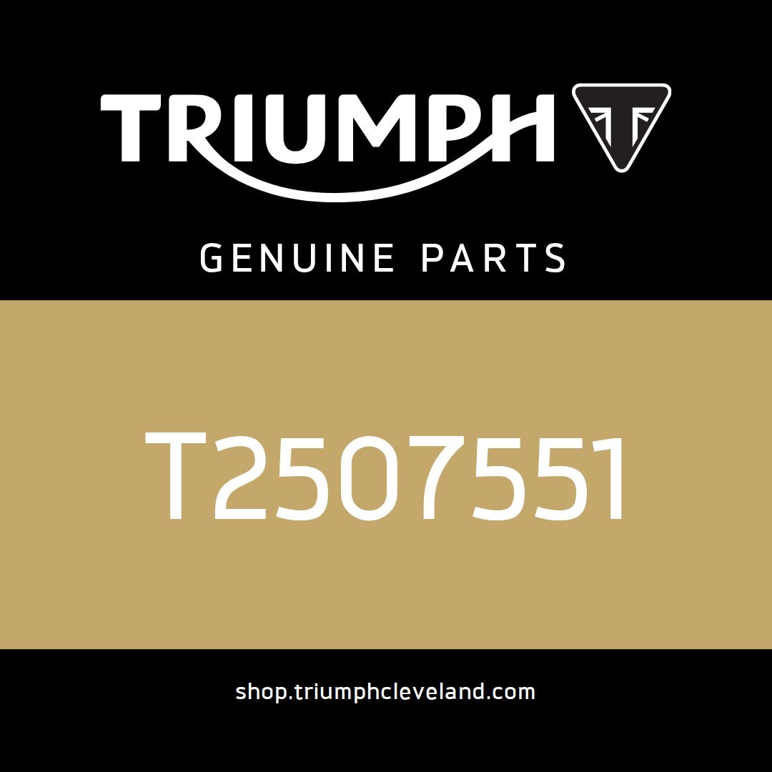Triumph OEM Lock Set, RH Routing - T2507551
