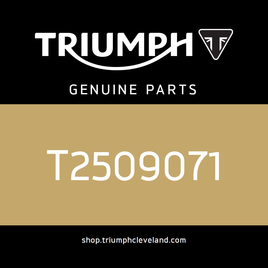 Triumph OEM Subharness, Rear Light - T2509071