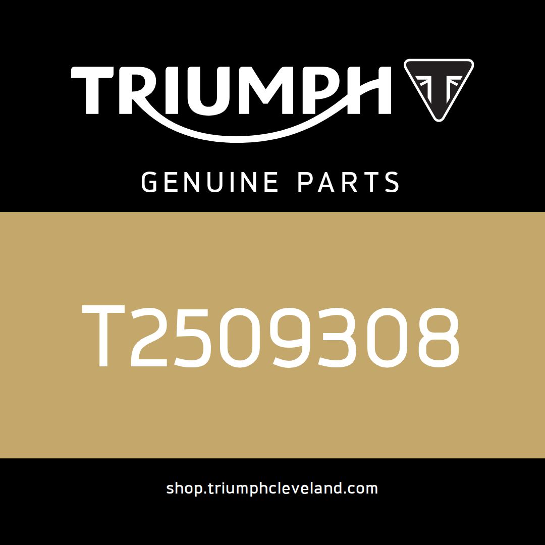 Triumph OEM Instruments, KMH, CN - T2509308