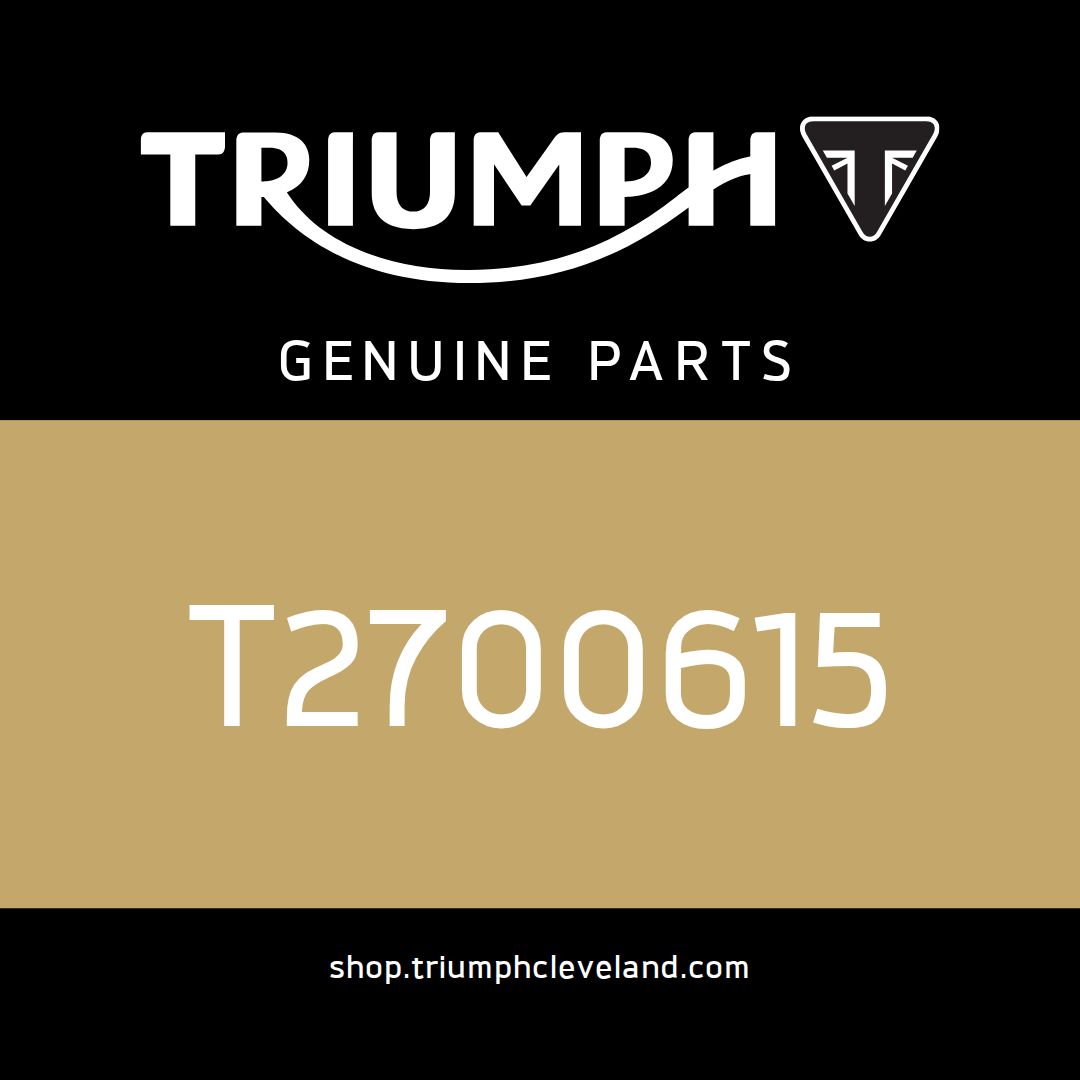 Triumph OEM Instrument &amp; Headlight Support - T2700615