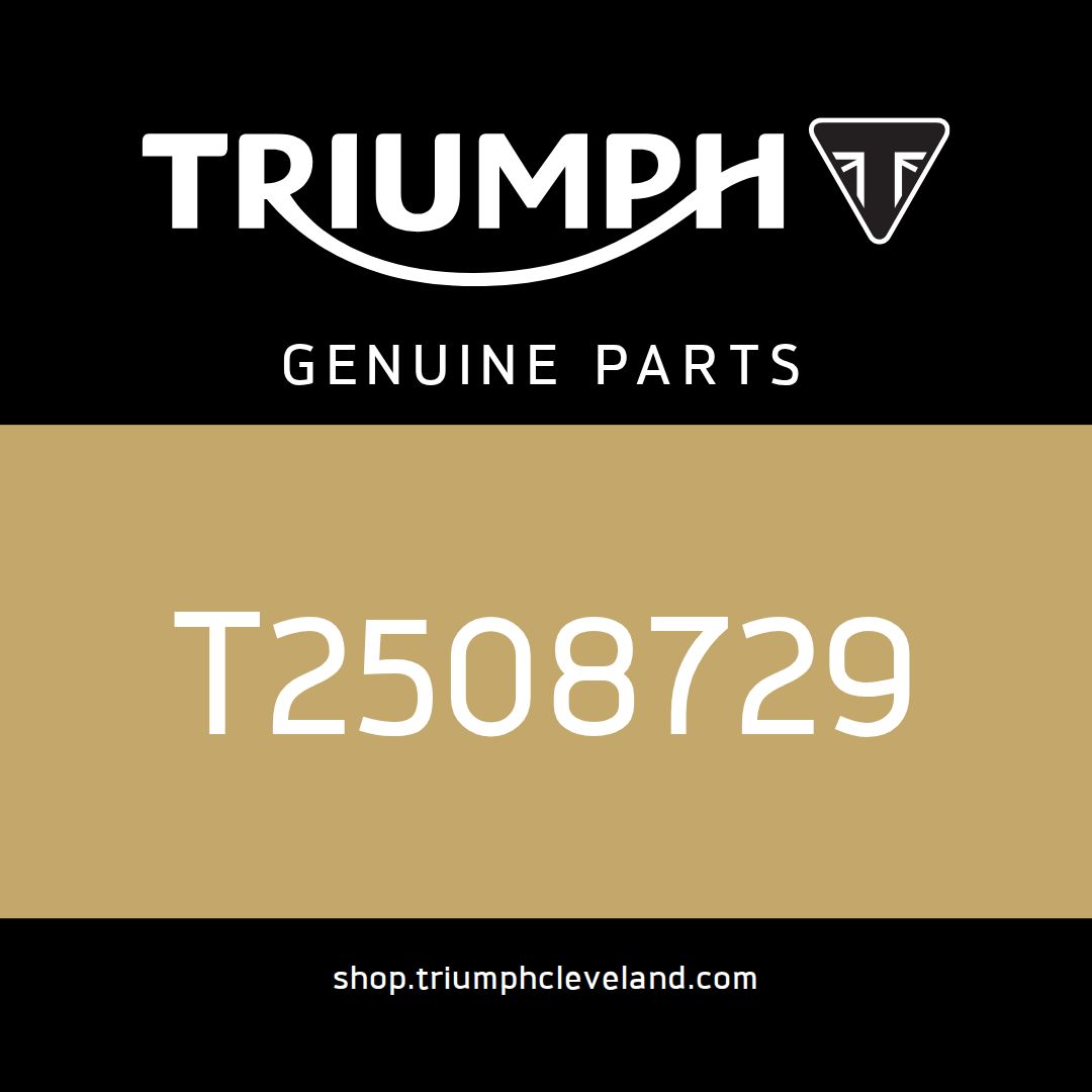 Triumph OEM Instrument Pack, KPH, EU - T2508729