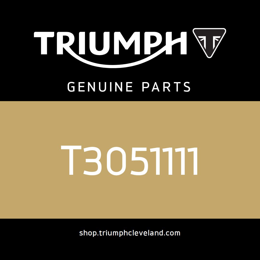 Triumph OEM Screw, Cap/Hd, M5 x 25, Black - T3051111