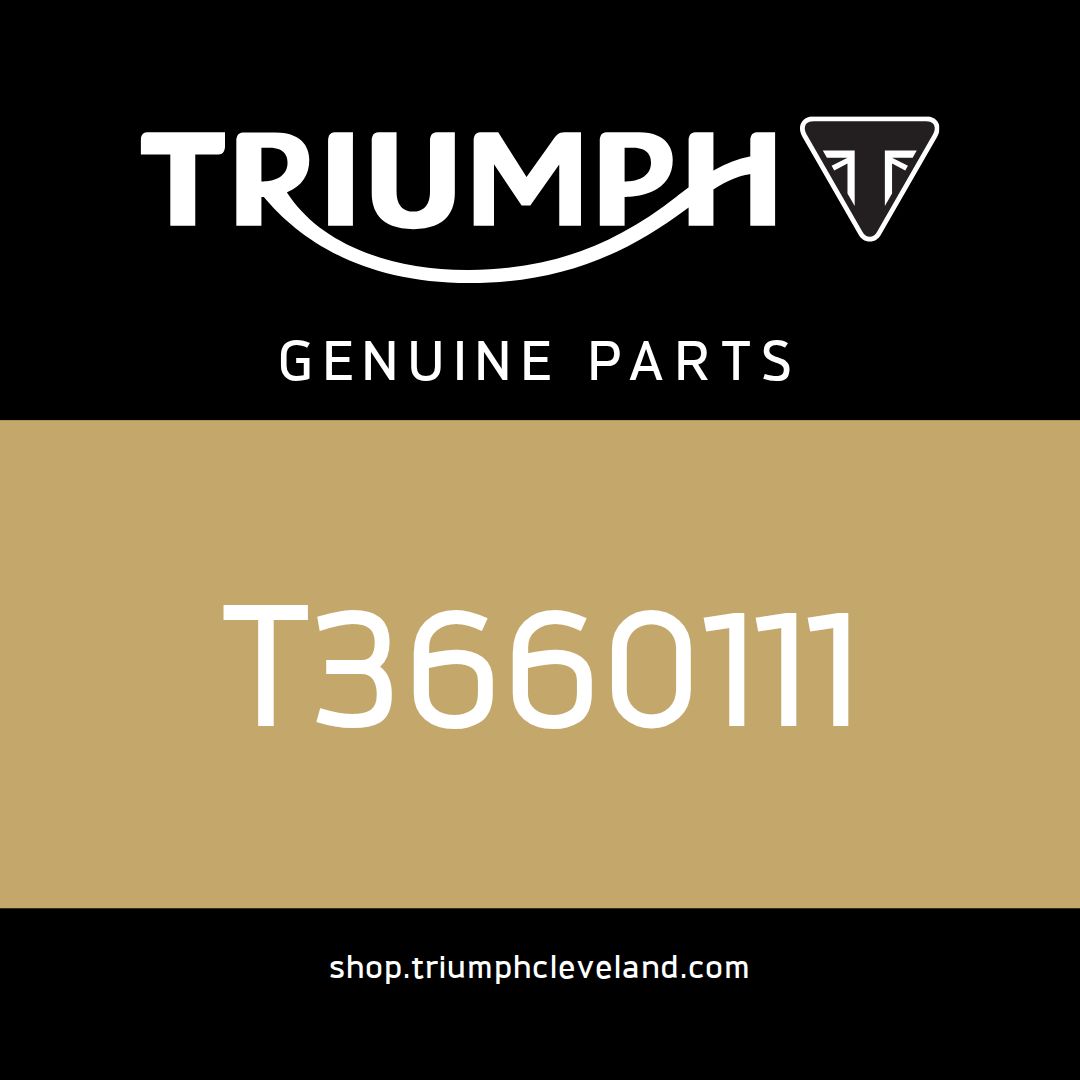 Triumph OEM Foam Pad - T3660111