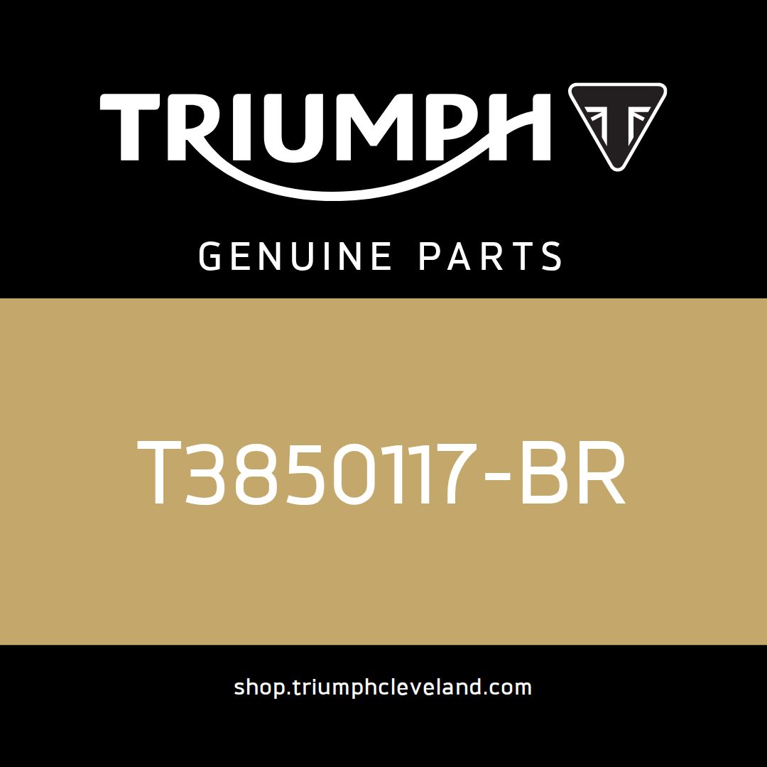Triumph OEM Handbook Assembly - T3850117-BR