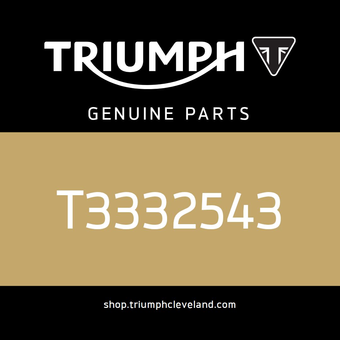 Triumph OEM Bolt, Skt/HD, M10, 266 LG - T3332543