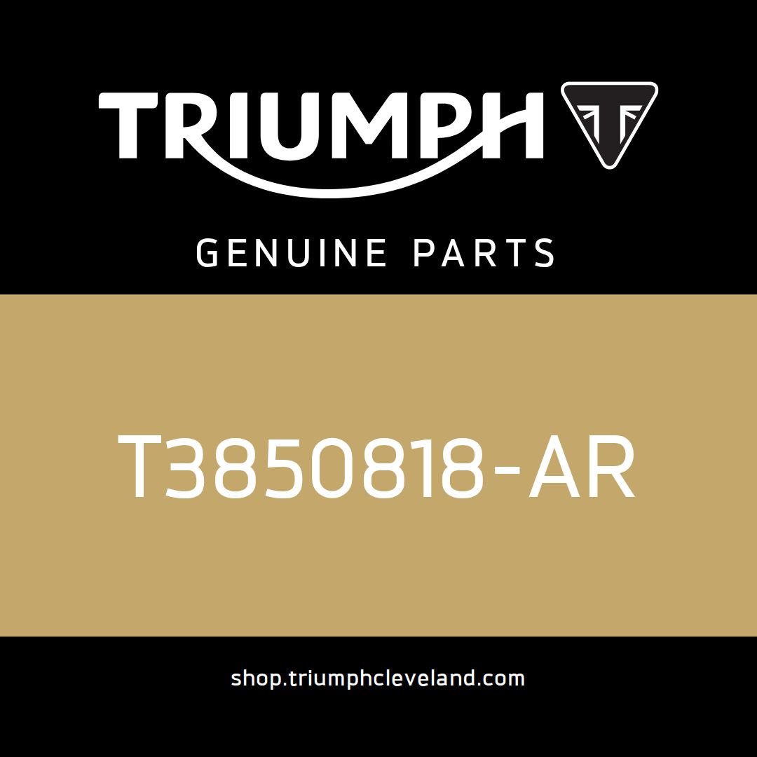Triumph OEM Handbook Assembly - T3850818-AR