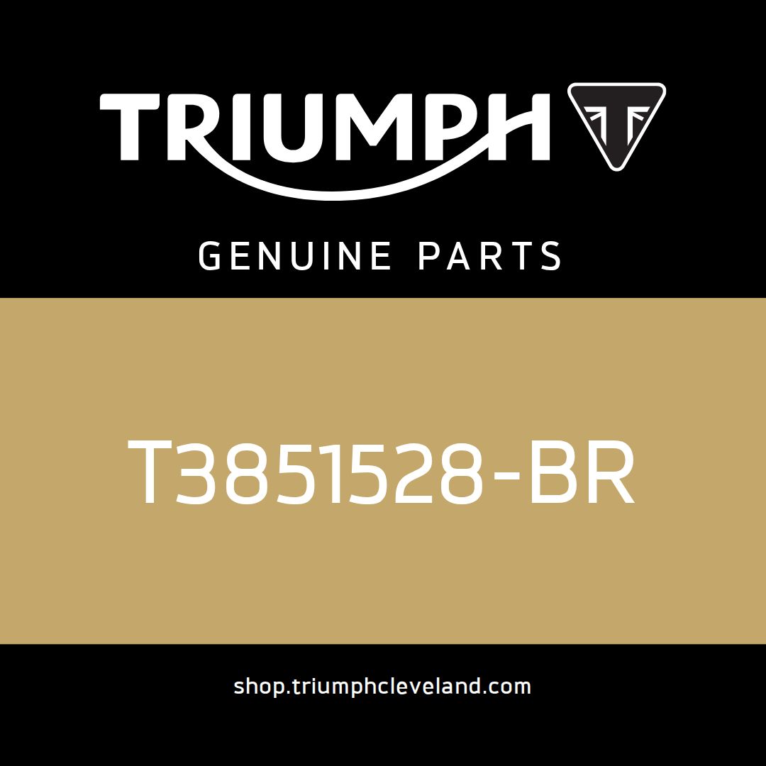 Triumph OEM Handbook Assembly - T3851528-BR