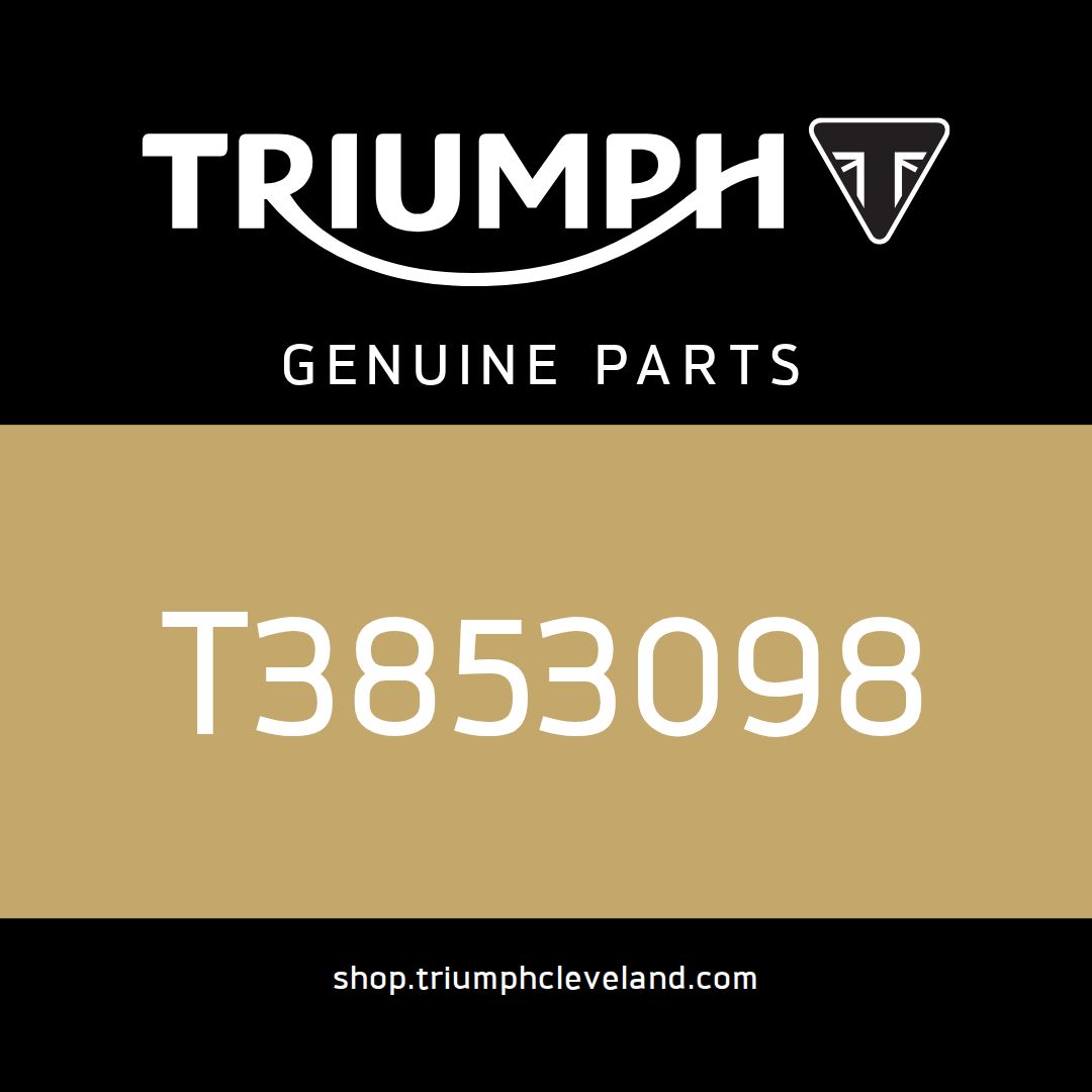 Triumph OEM Handbook Assembly - T3853098