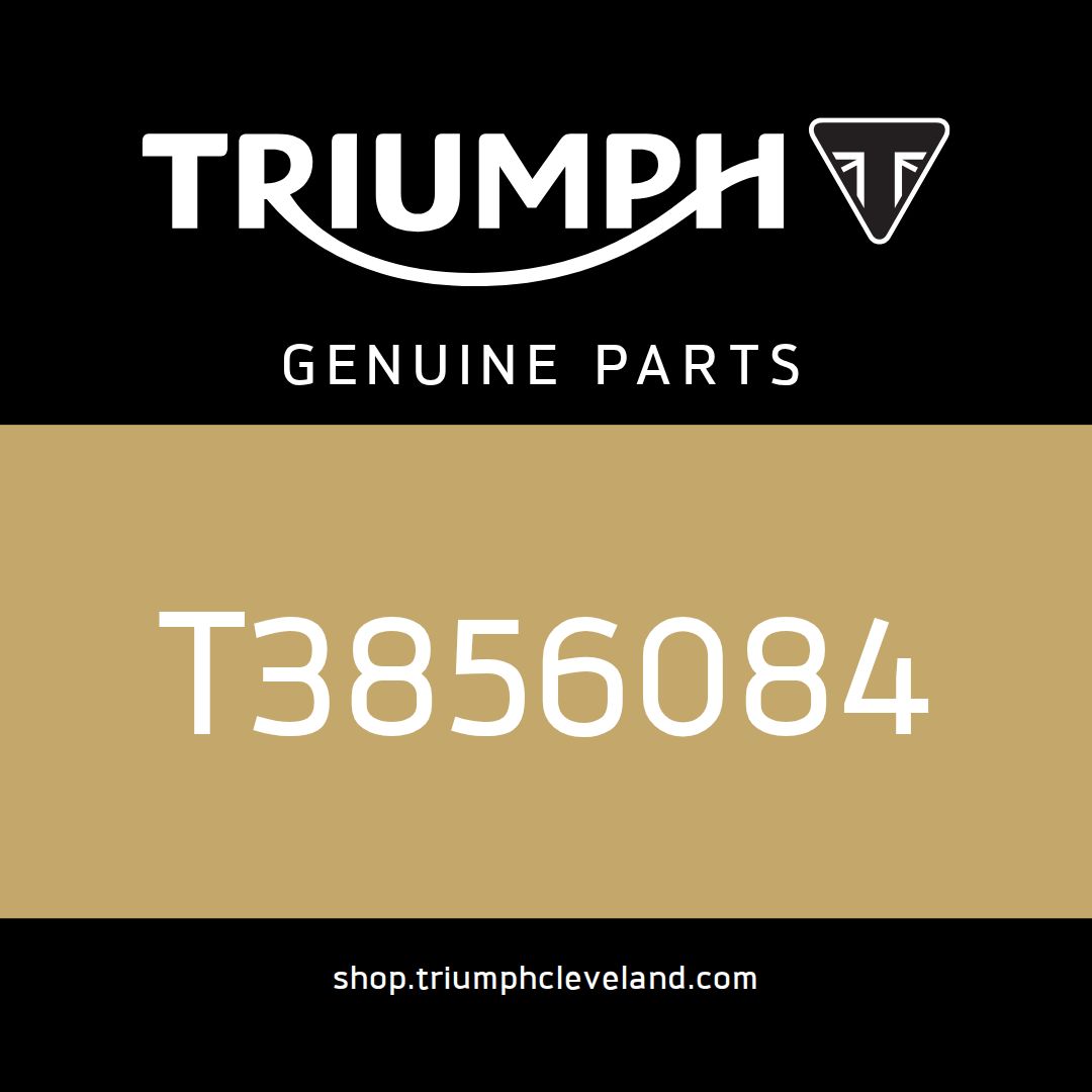 Triumph OEM Service Manual, JAPANESE - T3856084