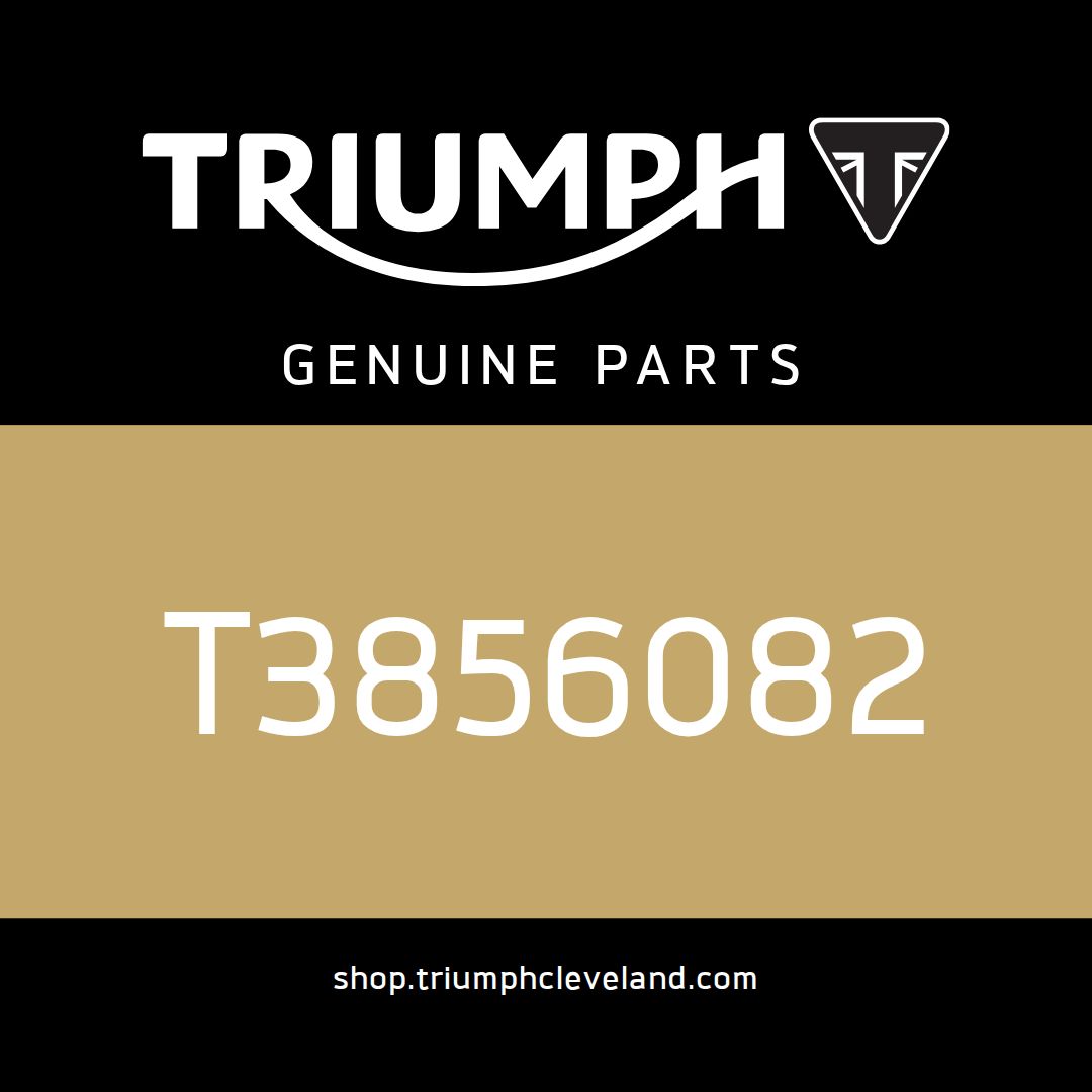 Triumph OEM Service Manual, German - T3856082