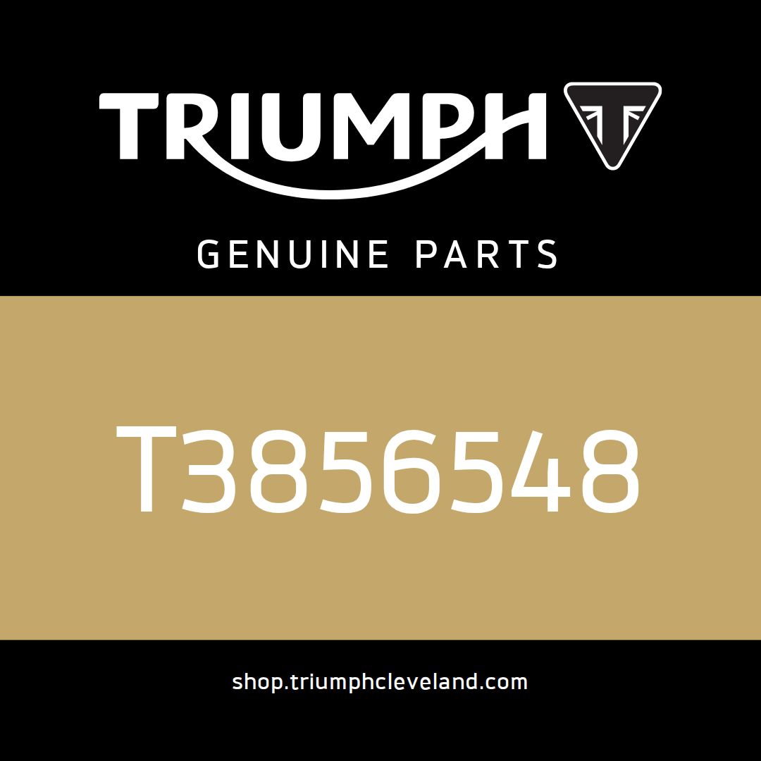 Triumph OEM Service Manual, Brazilian - T3856548