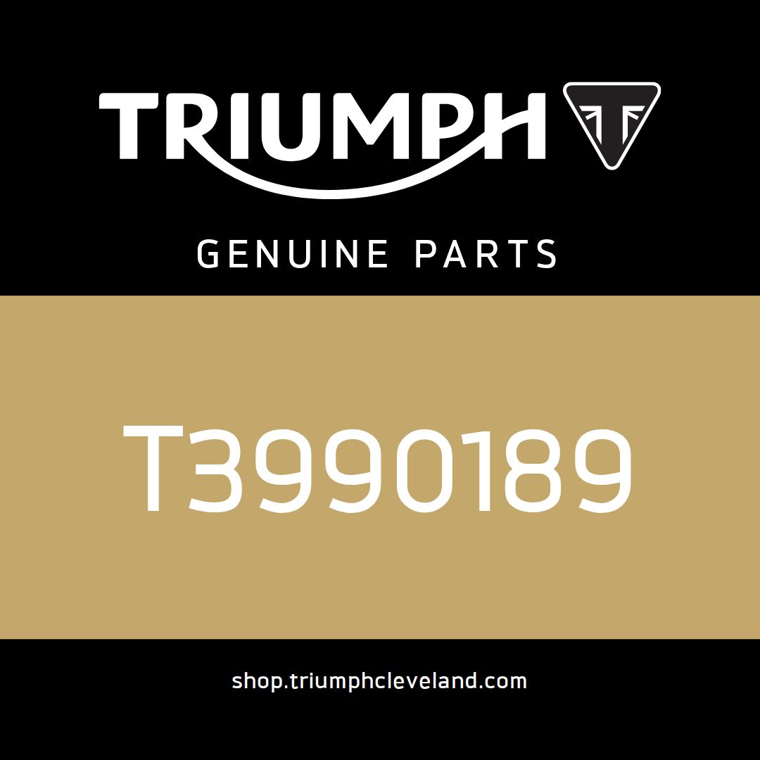 Triumph OEM Engine Service Kit - T3990189