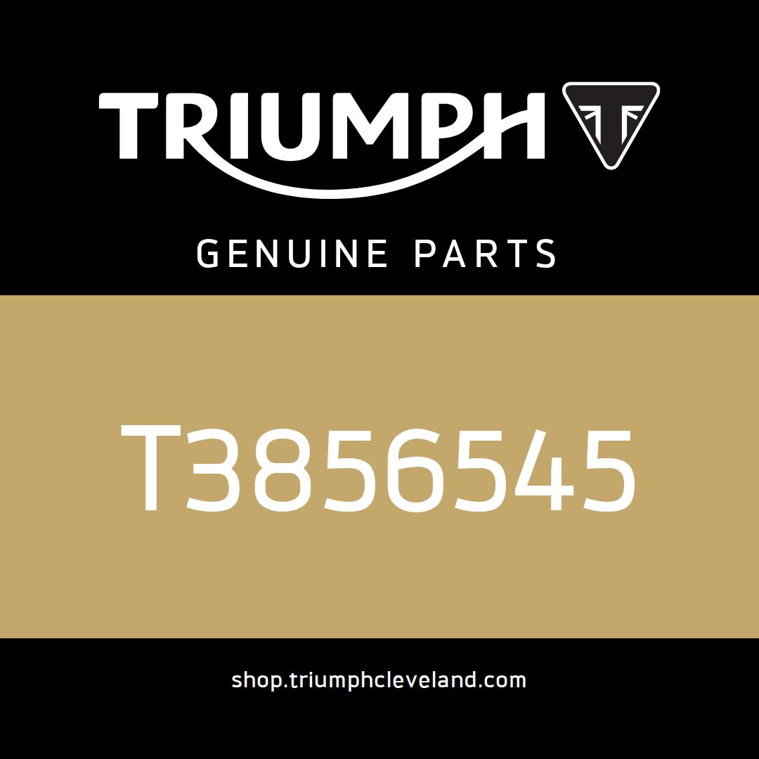 Triumph OEM Service Manual, French - T3856545