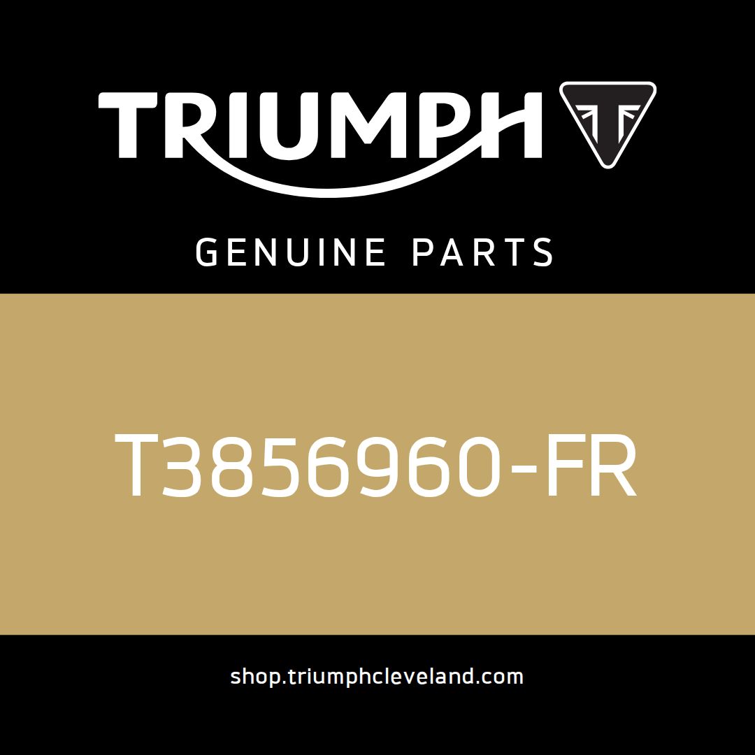 Triumph OEM Service Manual - T3856960-FR