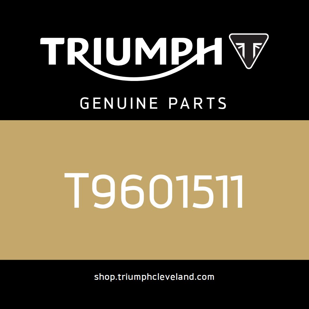 Triumph OEM Header Pipe, Titanium - T9601511