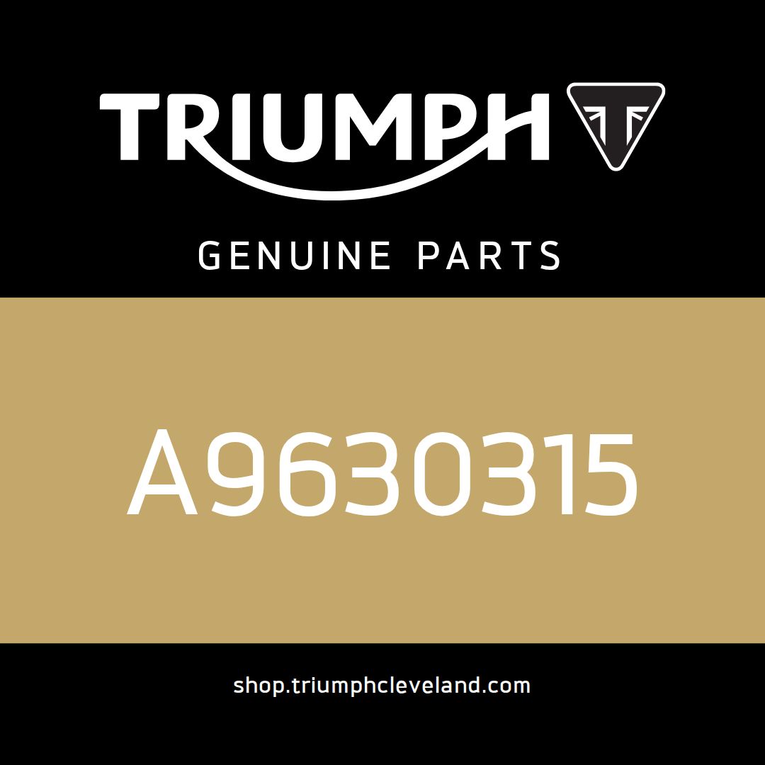 Triumph OEM Handguards Kit - A9630315