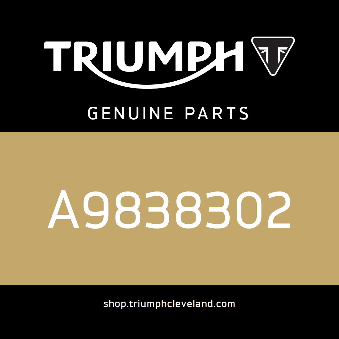 Triumph OEM LED Indicator Kit, D40 Short, 450mm - A9838302