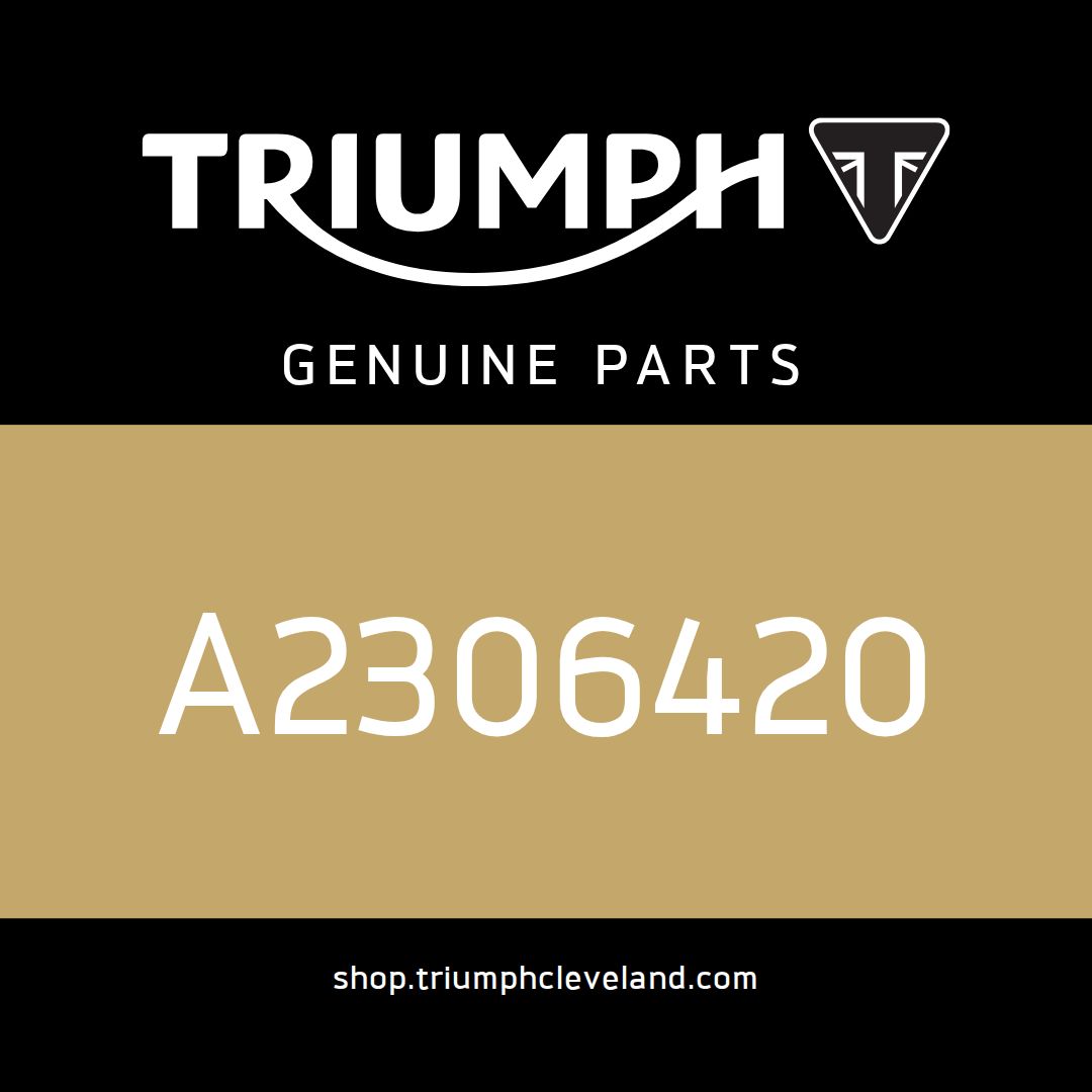 Triumph OEM Accessory Grabrail - A2306420