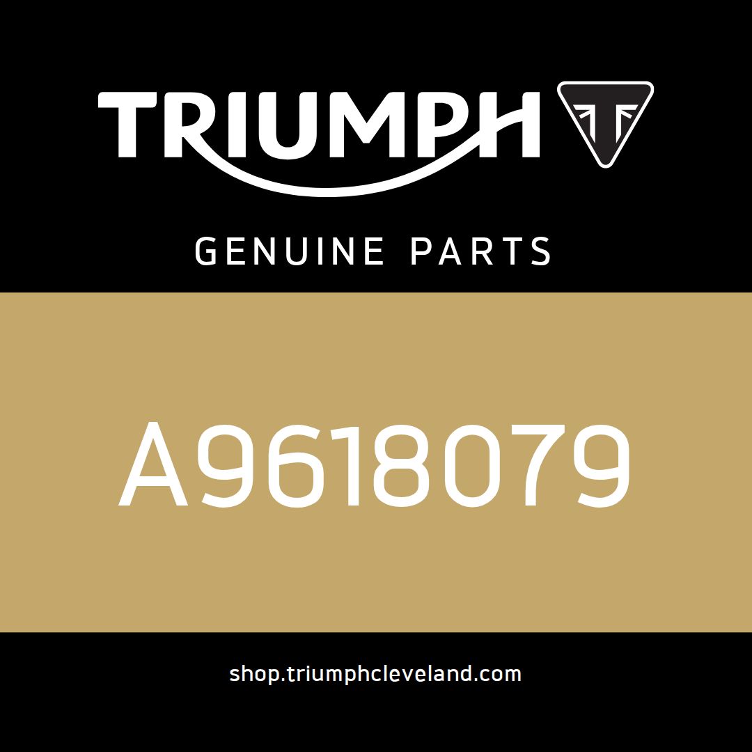 Triumph OEM Restrictor Kit, 98ps - A9618079