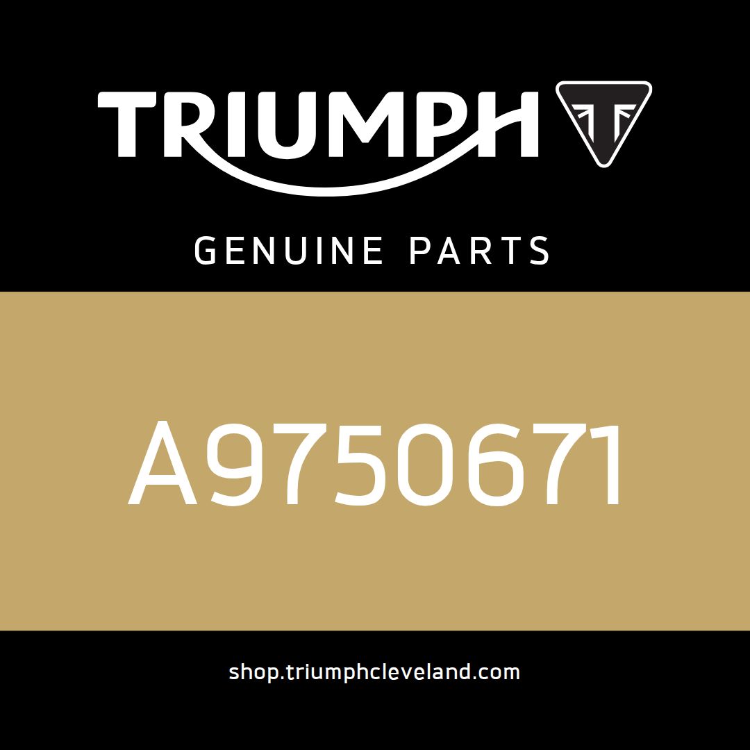 Triumph OEM Screw, But/Hd, Skt, M8 x 16, S/S - A9750671