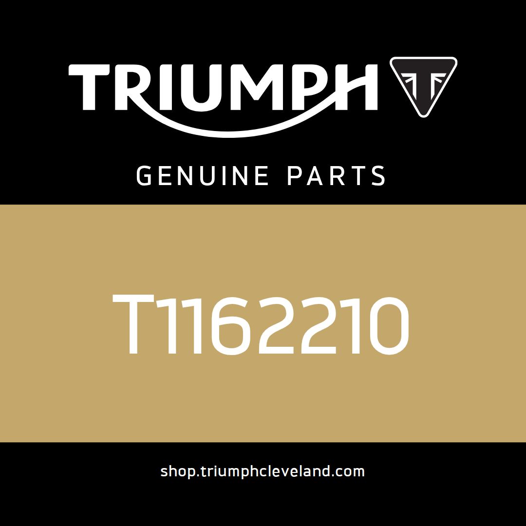 Triumph OEM Crankcase Assy, Spares - T1162210
