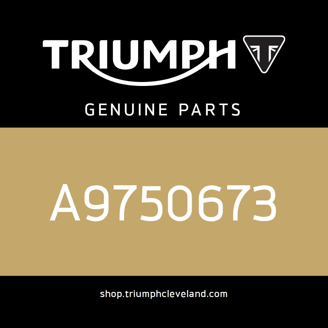 Triumph OEM Washer, 4.5 x 9.0 x 0.75, S/S - A9750673